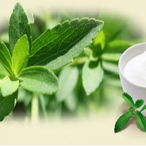 stevia-leaf